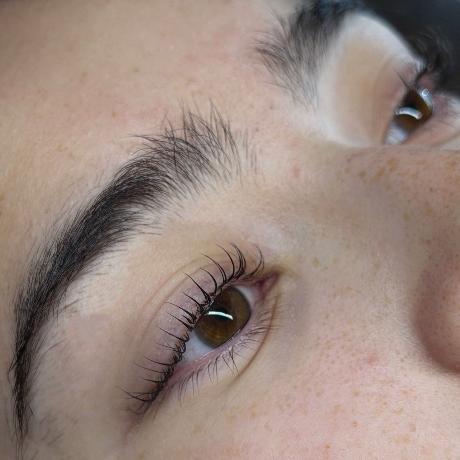 Lash lift and brushed-up brow, close up