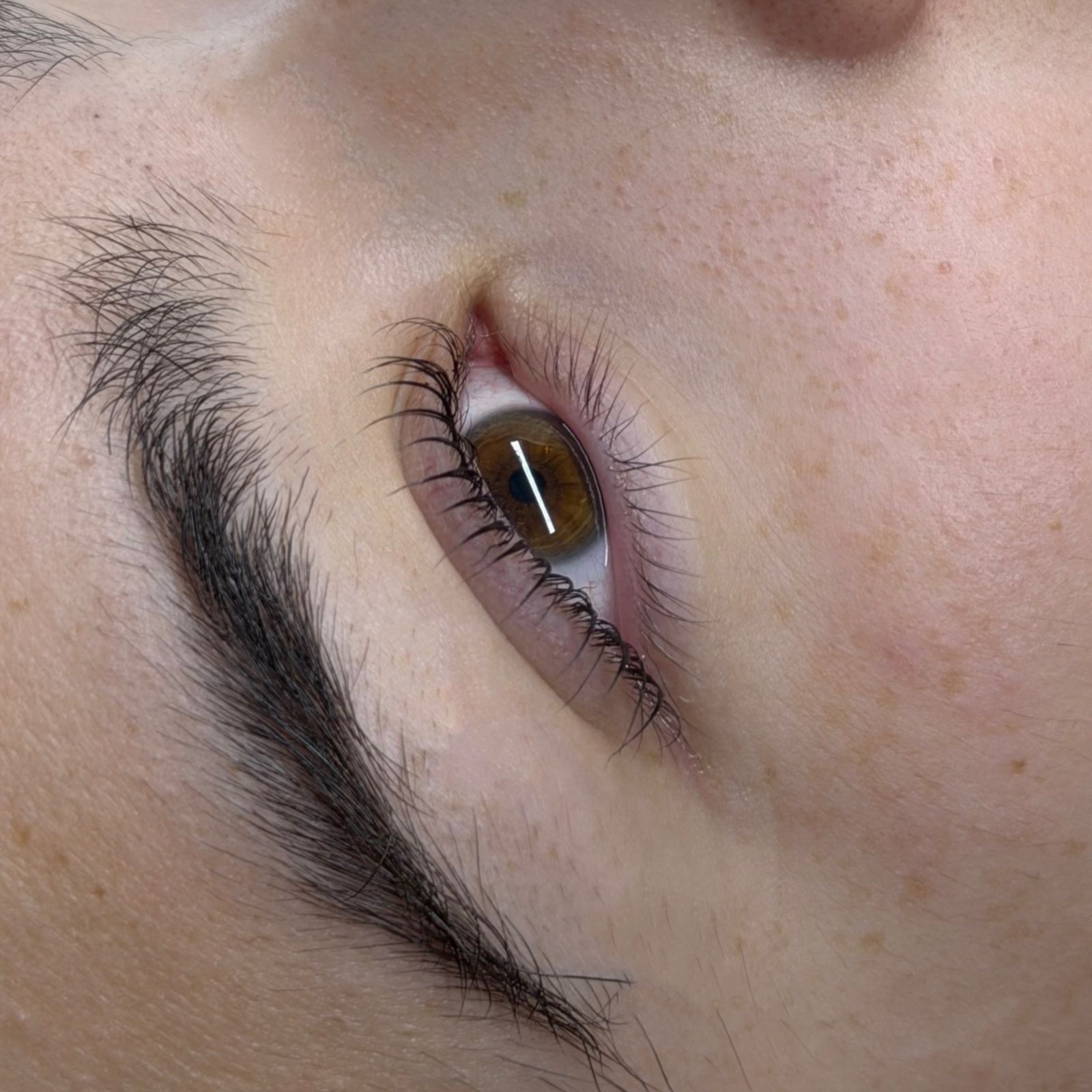 Lifted lashes and a laminated brow, close up